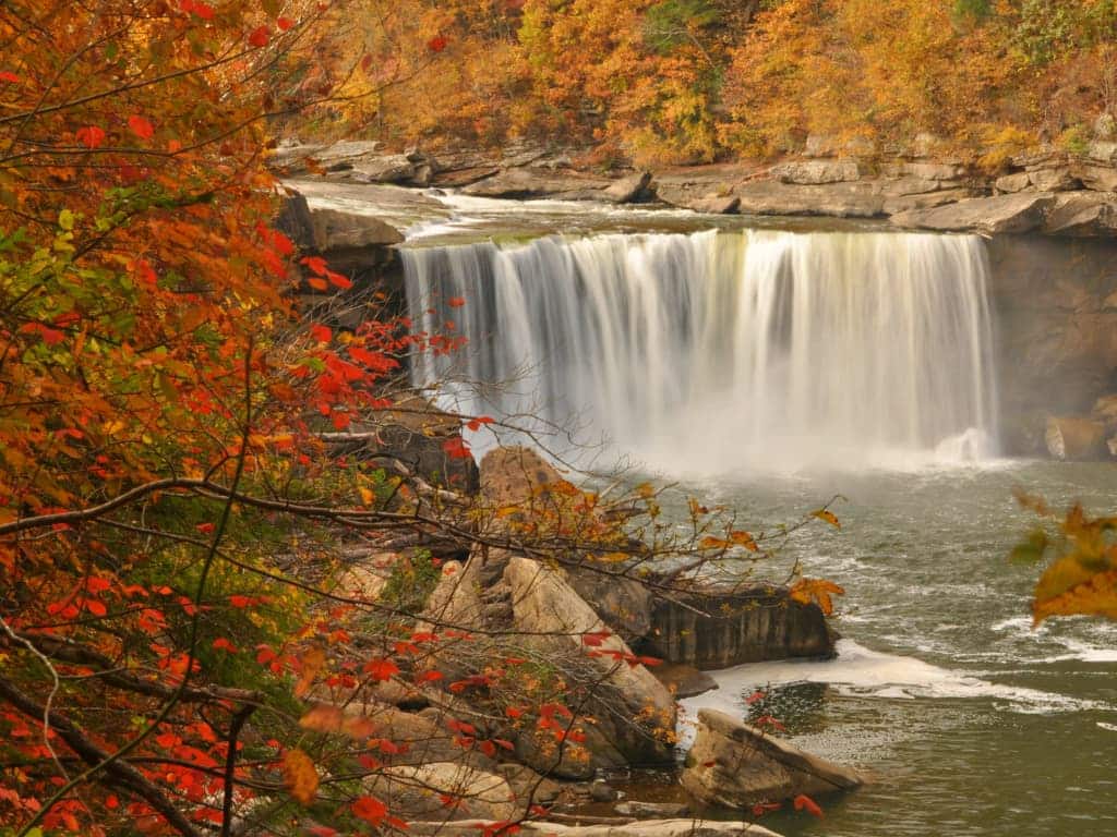 Fall foliage with a waterfall and river